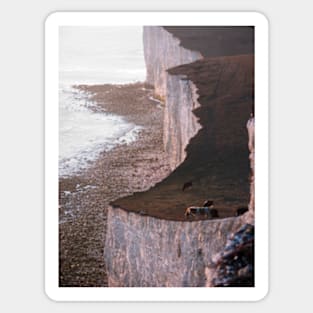 The Seven Sisters cliffs, East Sussex (cows) Sticker